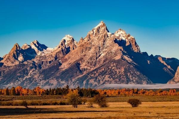 太平洋金享人生终身寿险分红型退保多久到账，有哪些流程