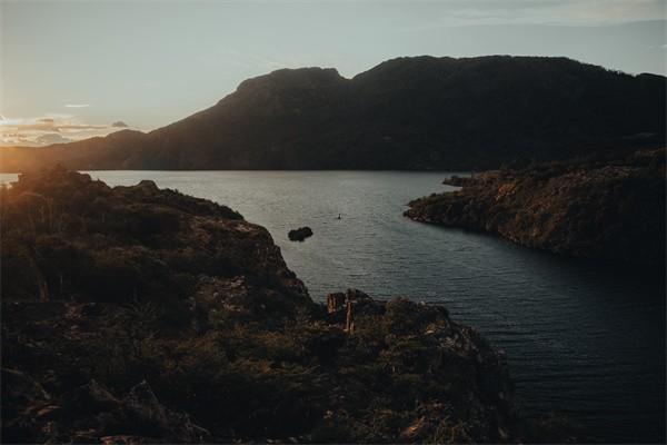 梧桐树重疾险可靠吗