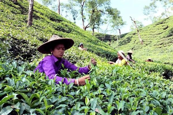 医疗保险要交多少钱呢，的保障有哪些