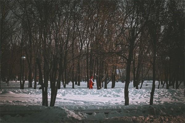 健康保险出险理赔流程是什么，以后还能续保吗