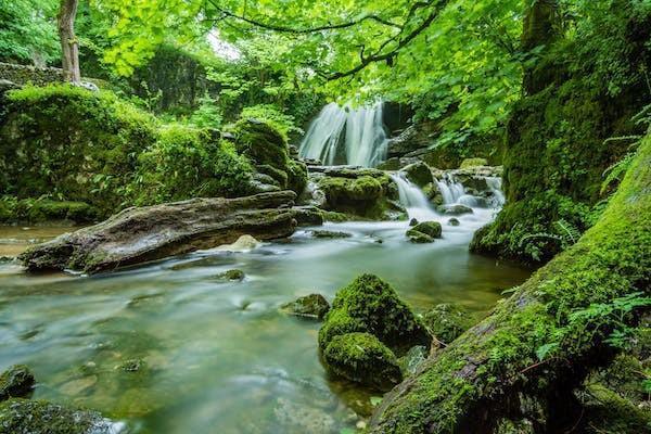 平安人寿大福星保险如何投保呢，多少钱