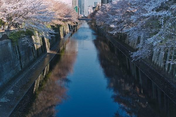 平安人寿万能险