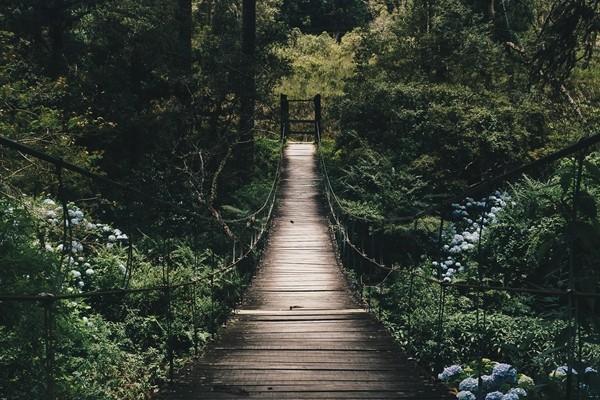 性价比最高的儿童重疾险