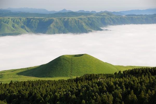 重疾险终身