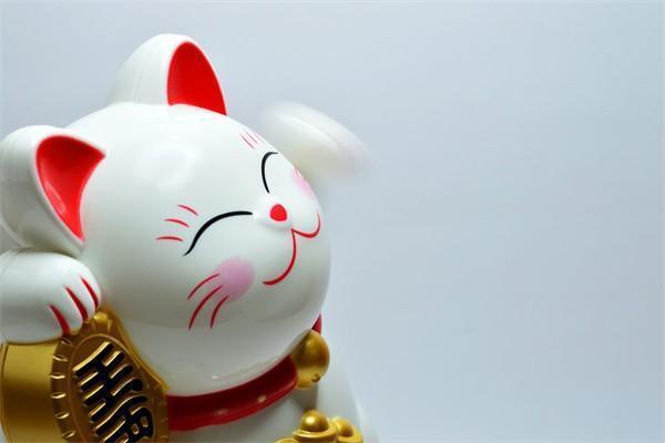 香港保险怎么买才好，的种类有哪些