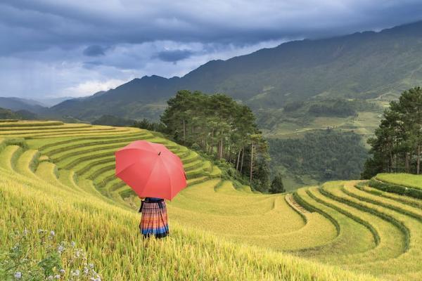 无锡补充医疗保险