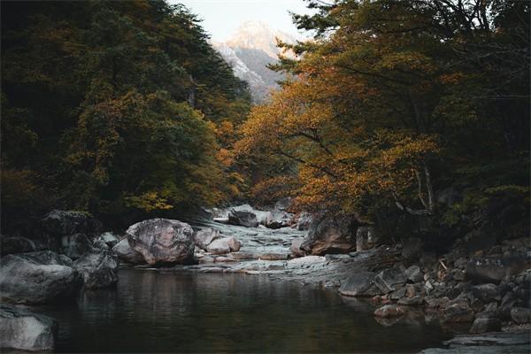 光大永明人寿保险退保