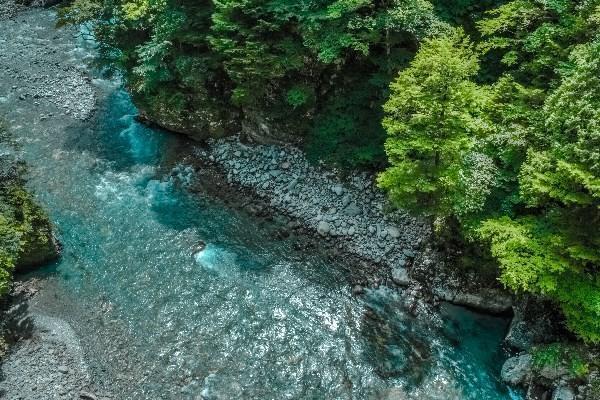 人寿保单犹豫期内退保流程