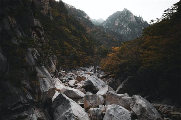 退保中会扣钱吗，扣钱了怎么办