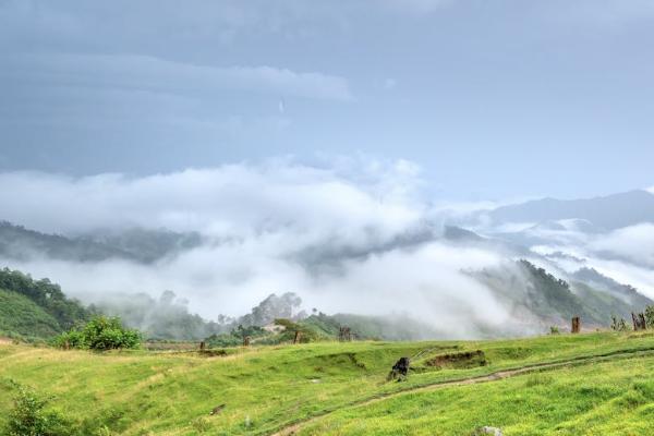 城镇保险和职工保险多少钱，冲突吗