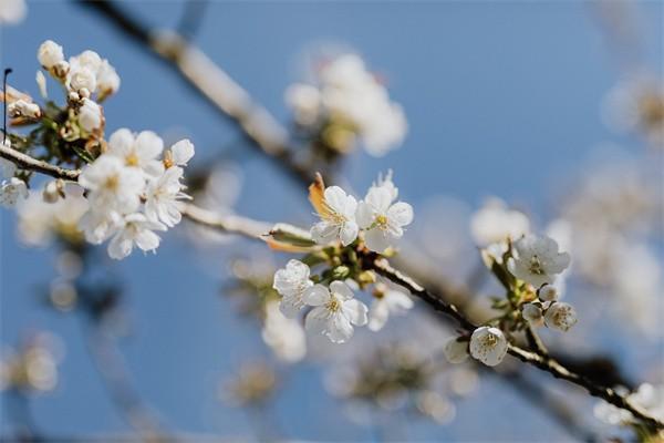 大病险买哪家保险公司的好，的保障有哪些