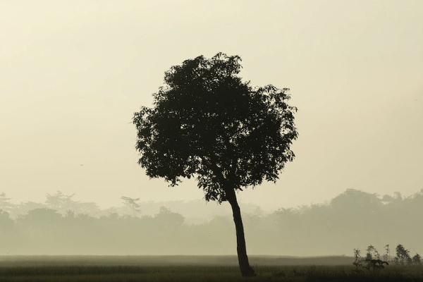 上海医疗保险能转移吗，转移到外地流程是什么