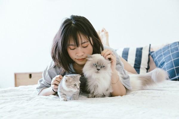 内地如何续费香港保险