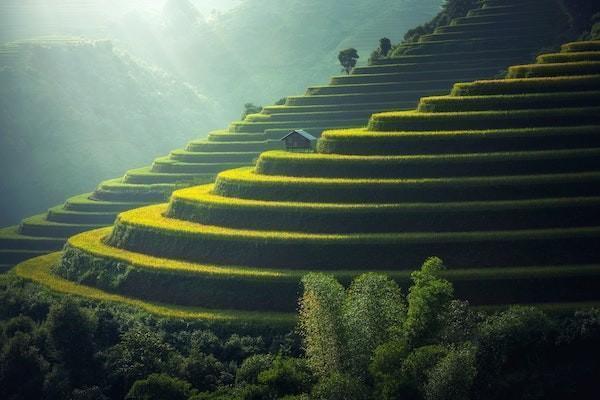 平安人寿交一年退保怎么算，怎么退