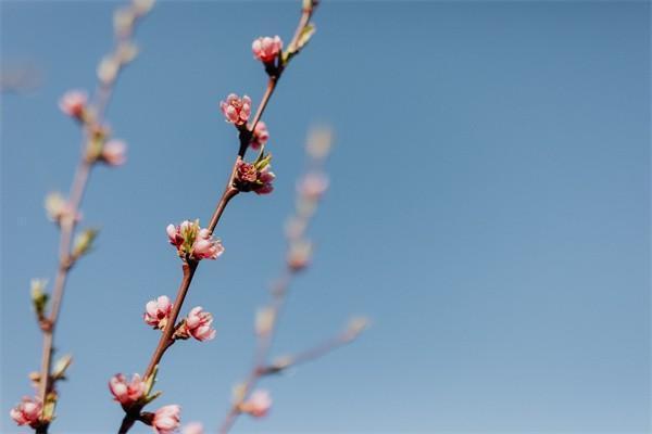 香港劳工保险缴纳后怎么查询，需要哪些材料