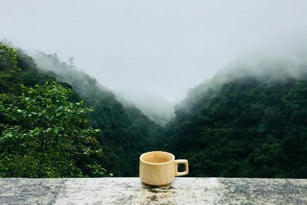 保险买了六年退保退多少钱呢，需要多长时间呢