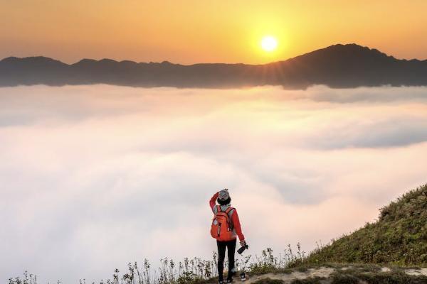 泰康重疾退保能退多少钱，需要哪些材料