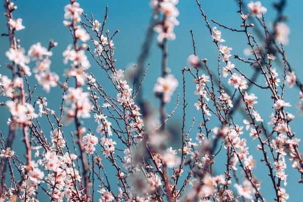 买了年金险退保需要哪些材料，多久时间完成
