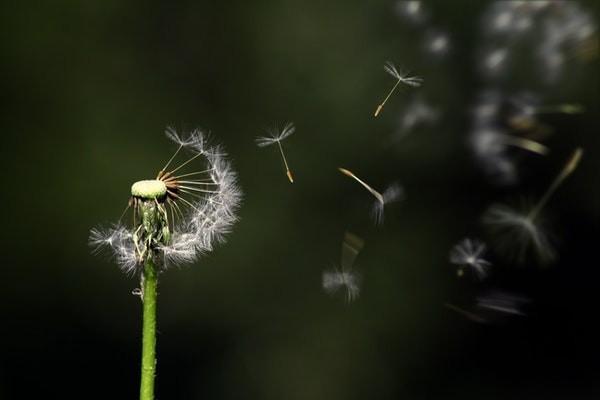 买重疾险有什么要注意的吗，保费一年要交多少钱