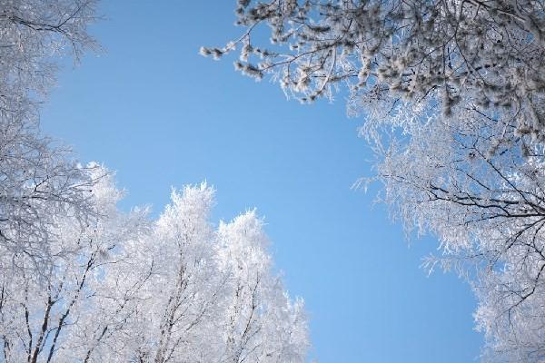 平安保险退保要怎么办理呢，多久可以完成呢