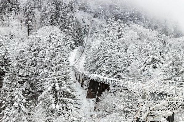 消费型保险不能退吗