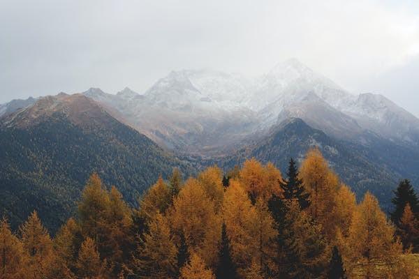 平安退保在哪里办理，的金额怎么计算呢