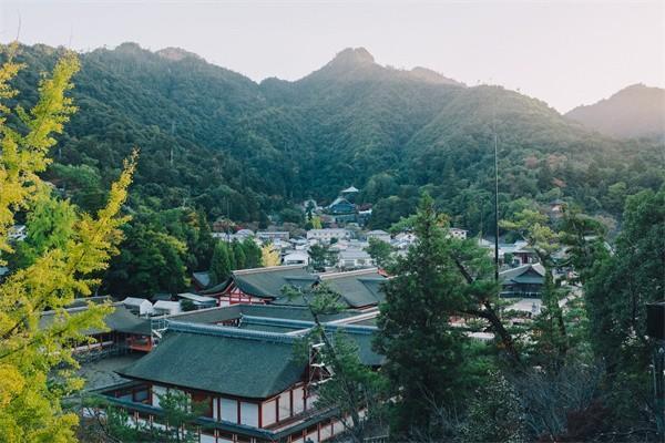 保单合同找不到了怎么退，能退多少钱