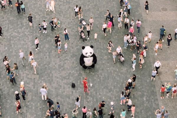 运动意外险保单生效日