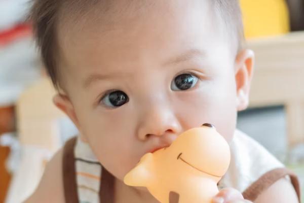 香港保险婴儿可以买终身吗