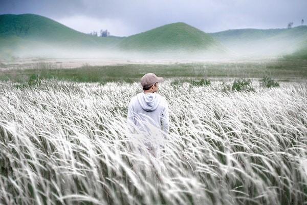 男的怎么报生育险，报生育险比例是多少