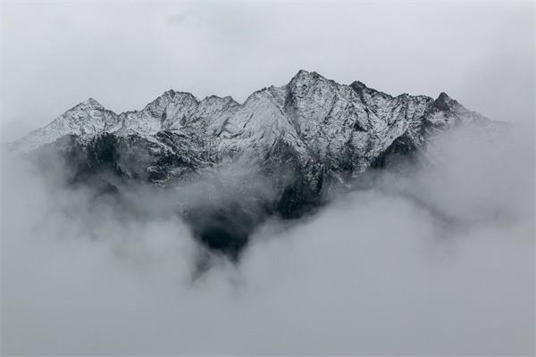 太平医无忧医疗保险怎么买，多少钱