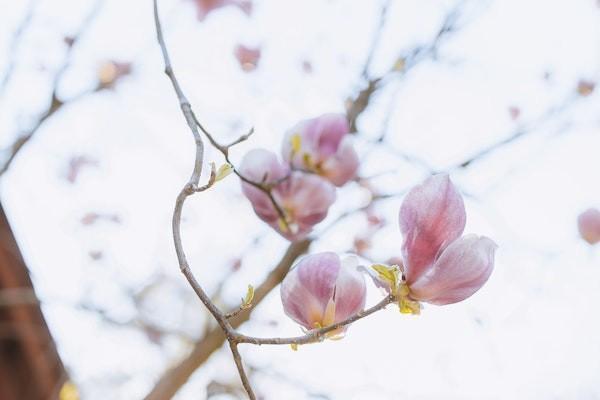 重疾险买一年还是终身