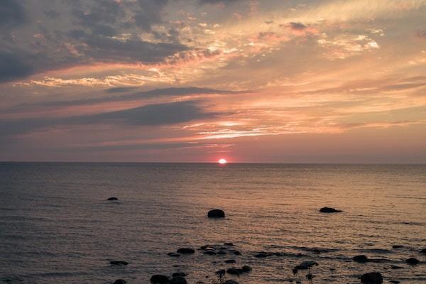 太平洋保险重疾险退保流程是什么，能退多少钱