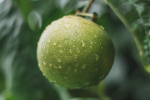 人寿重疾缴费3年退保流程是怎样的，几天能拿到钱