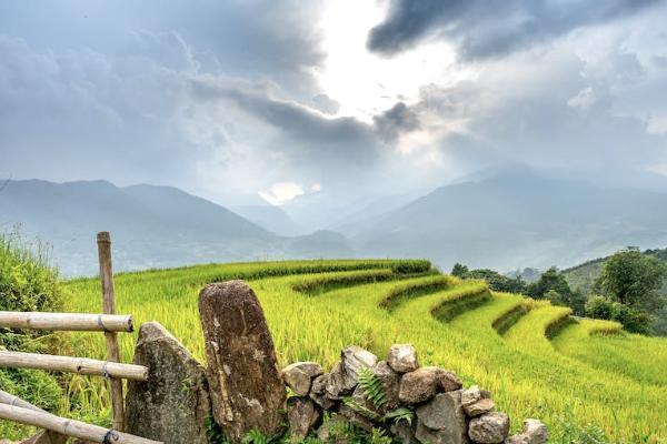 宝宝重疾保险怎么买，有用吗