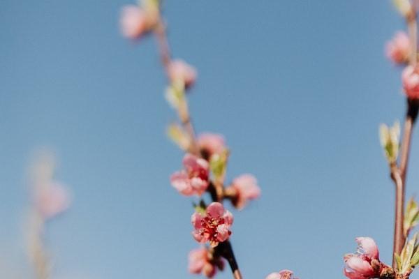 人保重疾险怎么买，一年多少钱