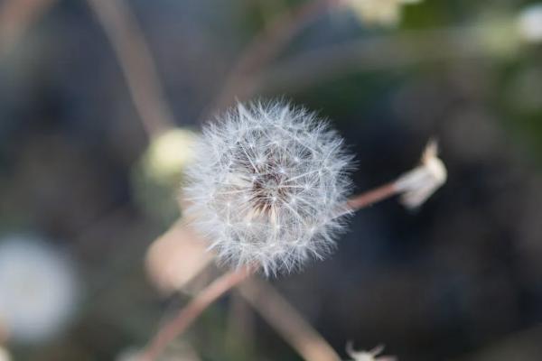 太平洋医疗保险可以保什么，报销流程是什么