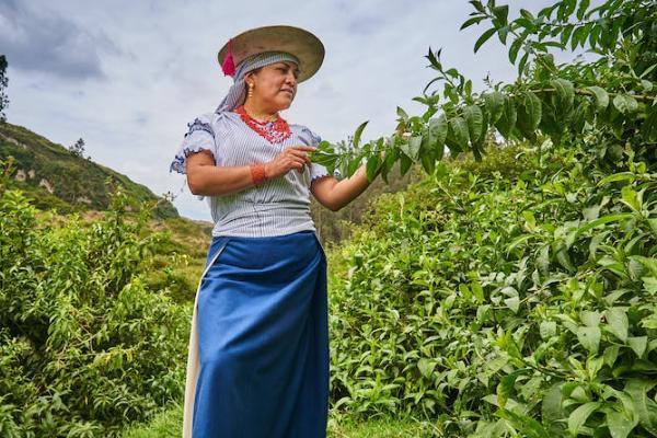 企业年金是五险二金吗