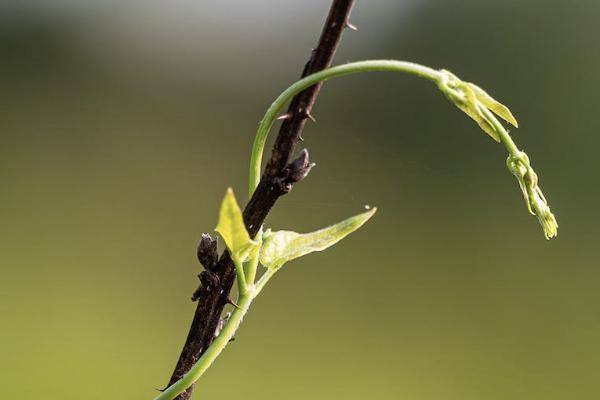 人保商业险3000怎么退，退保要注意什么