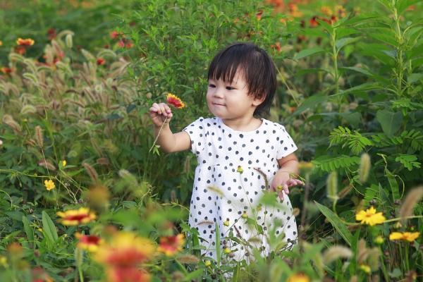 国寿险退保可以退多少钱啊现在