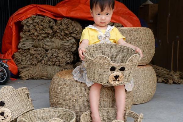 人寿如意险怎么样