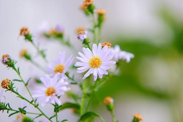 体检有结节怎么买重疾险，买重疾险多少钱