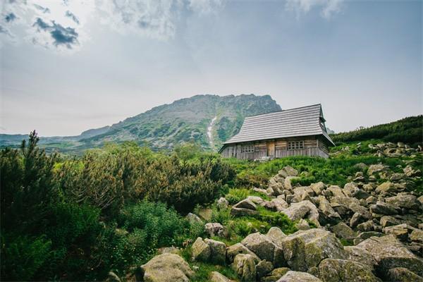 平安福保险退保退多少钱呢，多久到账呢