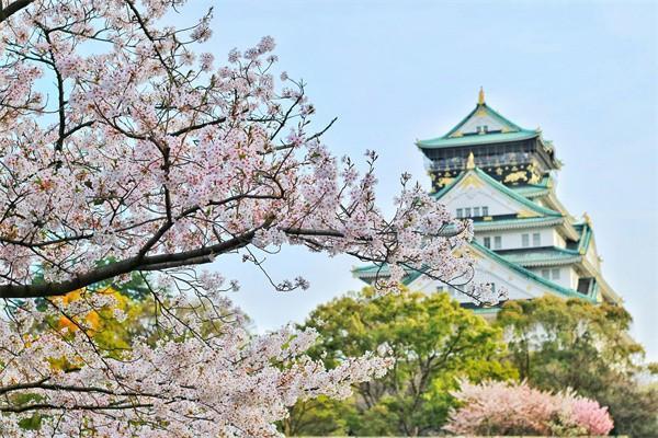 平安保险没到年限退保要注意什么，需要哪些材料