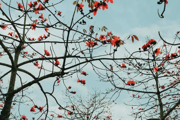 北京小学生意外险怎么买，一年多少钱