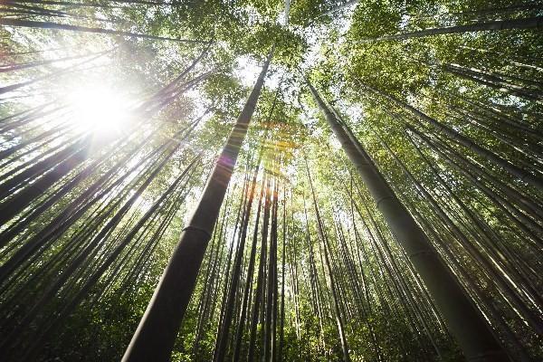 保险合同到期后无效情形解析？太平洋安行宝两全保险交够十年了能取吗？