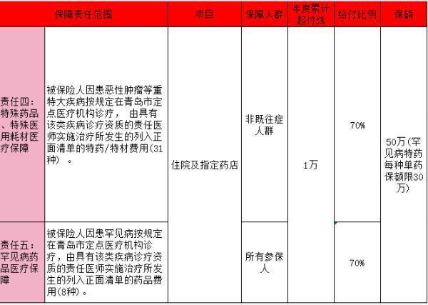 琴岛e保险都保什么病种