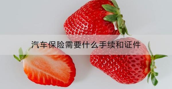汽车保险需要什么手续和证件？哪些必须买？