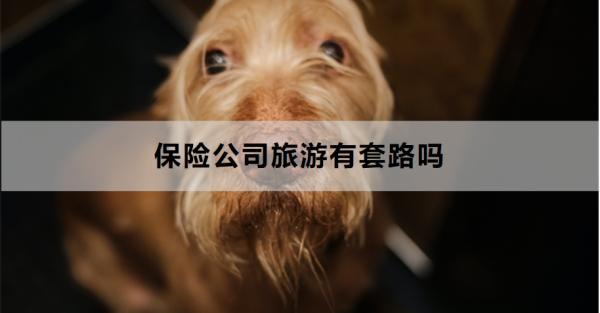 保险公司旅游有套路吗？怎么买合适啊？