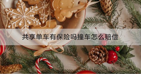 共享单车有保险吗撞车怎么赔偿？赔付范围包括什么？